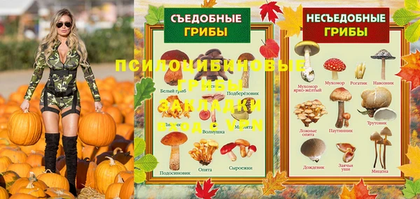СК Пестово