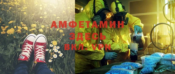 ГАЛЛЮЦИНОГЕННЫЕ ГРИБЫ Пересвет