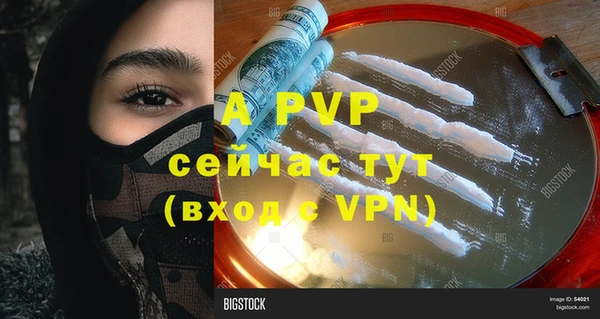 ГАЛЛЮЦИНОГЕННЫЕ ГРИБЫ Пересвет