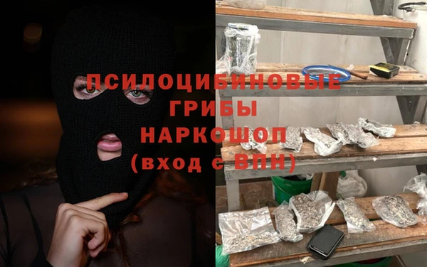 ГАЛЛЮЦИНОГЕННЫЕ ГРИБЫ Пересвет
